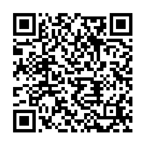 可现在似乎自己才是人家的晚宴--这猫女和狼人二维码生成