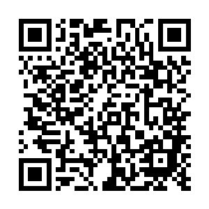 可能弄出来的大动静……这位长老也是忍不住一阵头疼的二维码生成