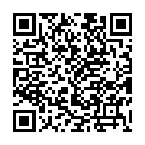 可能是因为我现在和你活着的那时候隔了很长很长一段时间二维码生成