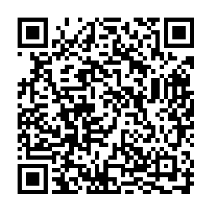 可能还是对方所缺失的那段秘境血斗之记忆……先一个个开始尝试吧……二维码生成