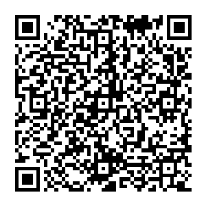 可能里边会有一点儿因为陆为民原来长期在昌江工作对昌江情况比较熟悉且精于经济工作的因素在里边儿二维码生成