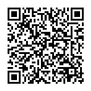 可脑中又闪过元辰夕那全身透明的皮肤里面全是蠕动着虫子的样子二维码生成