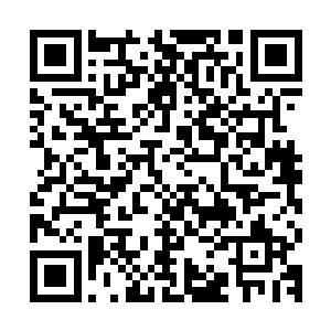 可落在同席人的眼目中却是让他们几乎个个眼珠子都要掉落一地二维码生成