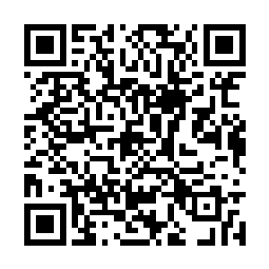 可这个家伙每一次出来只需片刻时间就完成了任务二维码生成