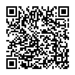 可这只仅仅主神境实力的噬生兽竟然在莲爆剑气之下支持了这么久二维码生成