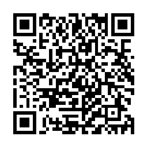 可这种隐身的效果只蔓延到苏林双臂的臂弯就停顿了下来二维码生成