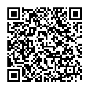可这萧立只花了不到半个月的时间就完全的占据了自己在小公主心里的地位二维码生成