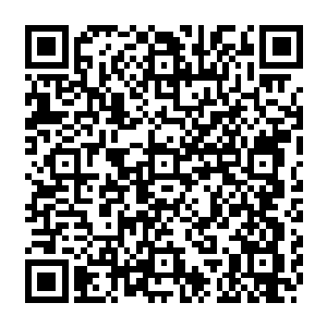 可通过一旁的心电图等可以明确地展现出来她的身体情况已经在逐渐飞快地恢复着二维码生成