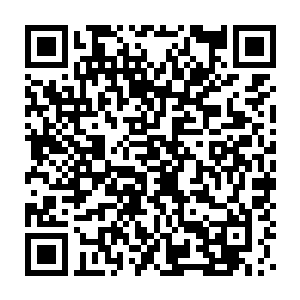 台下一个个被音波刺激的七窍流血得人此刻连翻白眼的力气都没有了二维码生成