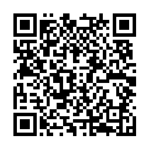 台湾公司一开始咬住合同上的一百万违约金不松口二维码生成