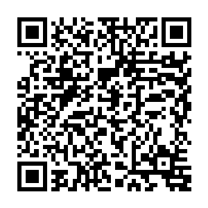 史家的老者和其他的史家人全都仿佛听到了这个世界上最好笑的笑话一般二维码生成
