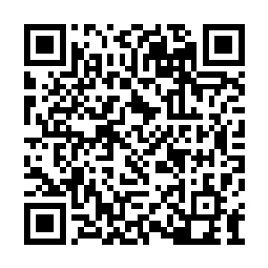 叶凡在这栋公寓里的所作所为的确有些不敢恭维二维码生成