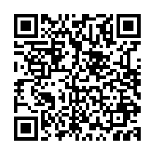 叶家大少叶笑在沉疴墨莲争霸赛上横扫无数家族少年天才代表二维码生成