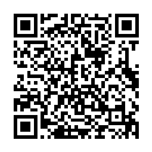 叶尊便是看见了一处浩瀚的血海在他的视线中浮现了二维码生成