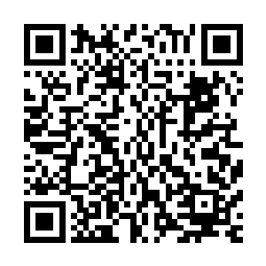 叶尊取下挂在墙上的一柄宝剑向着自己屋后的一片小树林而去二维码生成