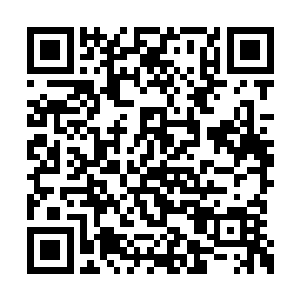 叶尊可是擒拿过万火体以及灵体这两尊可怕天才二维码生成