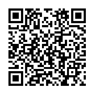 叶尊和洛青首当其冲便是被这股可怕的气息冲击的倒飞出去二维码生成
