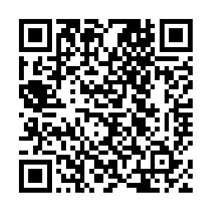 叶尊如今在大荒部落也算的上是一个不大不小的名人了二维码生成