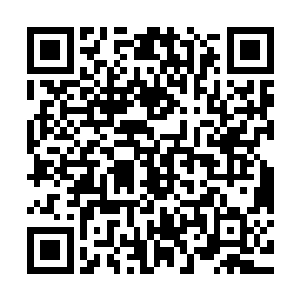 叶尊忽然发现下方的峡谷当中有着一头二级妖兽守护着一株灵药二维码生成