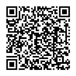 叶璃似笑非笑的看着想要反对却终究是没有开口的病书生眨了眨眼睛二维码生成