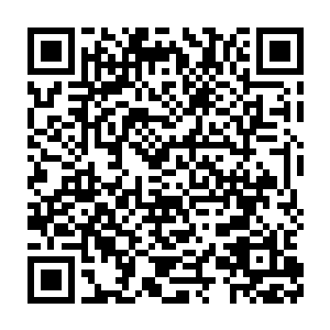 叶璃在心中也实在有些担心自己这个乖巧的儿子被墨修尧给教歪了二维码生成