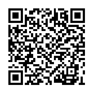 叶秋相信不管任何不和常理的事儿他都能做出来二维码生成