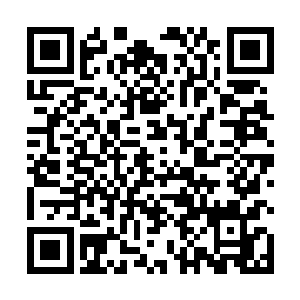 叶秋知道了林家这个新型家族最近几年是如何崛起的了二维码生成