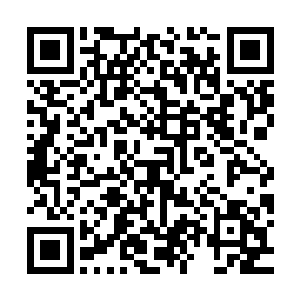 叶莫立刻便是感觉到自己的皮肤都被挤压的开始噼里啪啦的炸响二维码生成