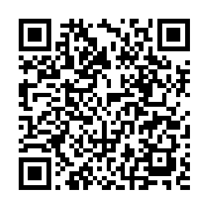 号称十大强队之一的机械小队……他们其实是护送炸弹片二维码生成