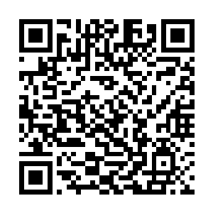 司令制订的游戏战争计划现在还仅仅是初步阶段而已二维码生成