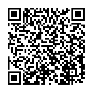 司末萧冷漠的神情和不经意间散发出来的气势都让这七星长老背后冷风习习二维码生成