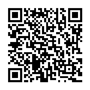 司机们不时因为大大咧咧横穿而过的行人而咒骂着猛踩一脚刹车二维码生成