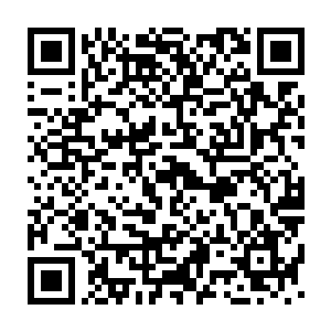 司灵和李欣作为会所的主要控股人带领会所的管理层来给客人敬酒二维码生成