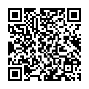 司空雨浩不由惊诧的看向流墨墨手中盒子里几件精致的小物件二维码生成