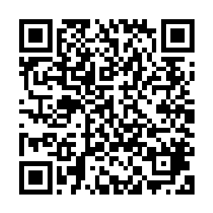 吃的时候发现没有筷子不想用手直接捞找了两根树枝剥皮当筷子二维码生成