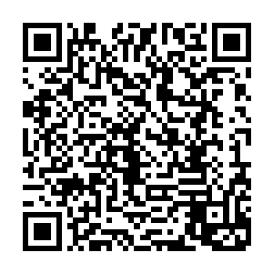 各个国家的首脑现在也已经不再争论是否要保护好那些被绑架的科学家们了二维码生成