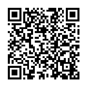 各个领导又会安排他们的那些找不到好工作的亲戚进来二维码生成