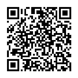 各大宗门都不可能会让别人知道自己宗门的总贡献的二维码生成