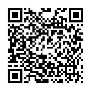 各种关于尹双双与释羽薰的证据证物证人全数被赫连正揣的牢牢二维码生成