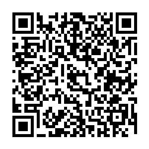 各种各样的地系斗气和魔法不断的对之前还嚣张的不可一世的地魔龙发起了攻击二维码生成