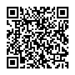 各种美丽有些意想不到的总会出现在街头巷尾甚至每一个转角二维码生成