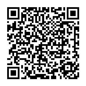 各种随行人员应有尽有――当然身价最高的还是白兰这个妮娜的移动坐垫二维码生成