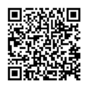 各脉自地仙以上亦或蔡安誉这样授予天权的特殊真仙尽皆与会二维码生成