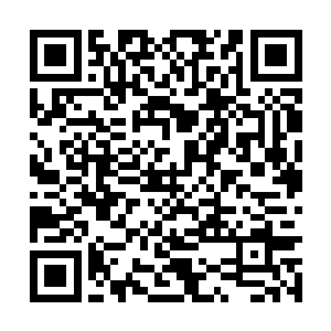 各自在不同的大陆和次大陆繁衍生息的种族和文明二维码生成