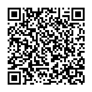 各部落的年轻一代的勇士和后起之秀们在这个时候也都轮流上台比武角斗二维码生成