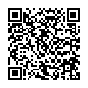 同为天武境界的烈云空使用天火派的独门秘技烈焰焚天掌击中二维码生成
