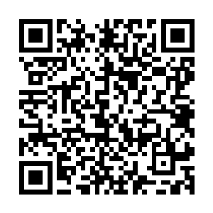 同时一定会主动在各位长老面前亲自检验证明自己的人族血脉二维码生成