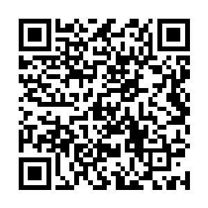 同时一边比划一边认真的说明自己为什么不一拳揍上去二维码生成