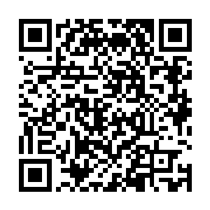 同时万珍商会还要从探险出来的修士身上抽取半数斩获二维码生成