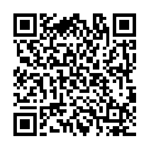 同时也对玄龟曾与青玄真人一起对抗外敌的传言得到了证实二维码生成
